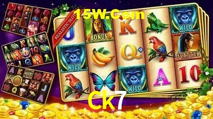 Sistemas de Segurança Ck7